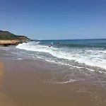 Bertur Penismar